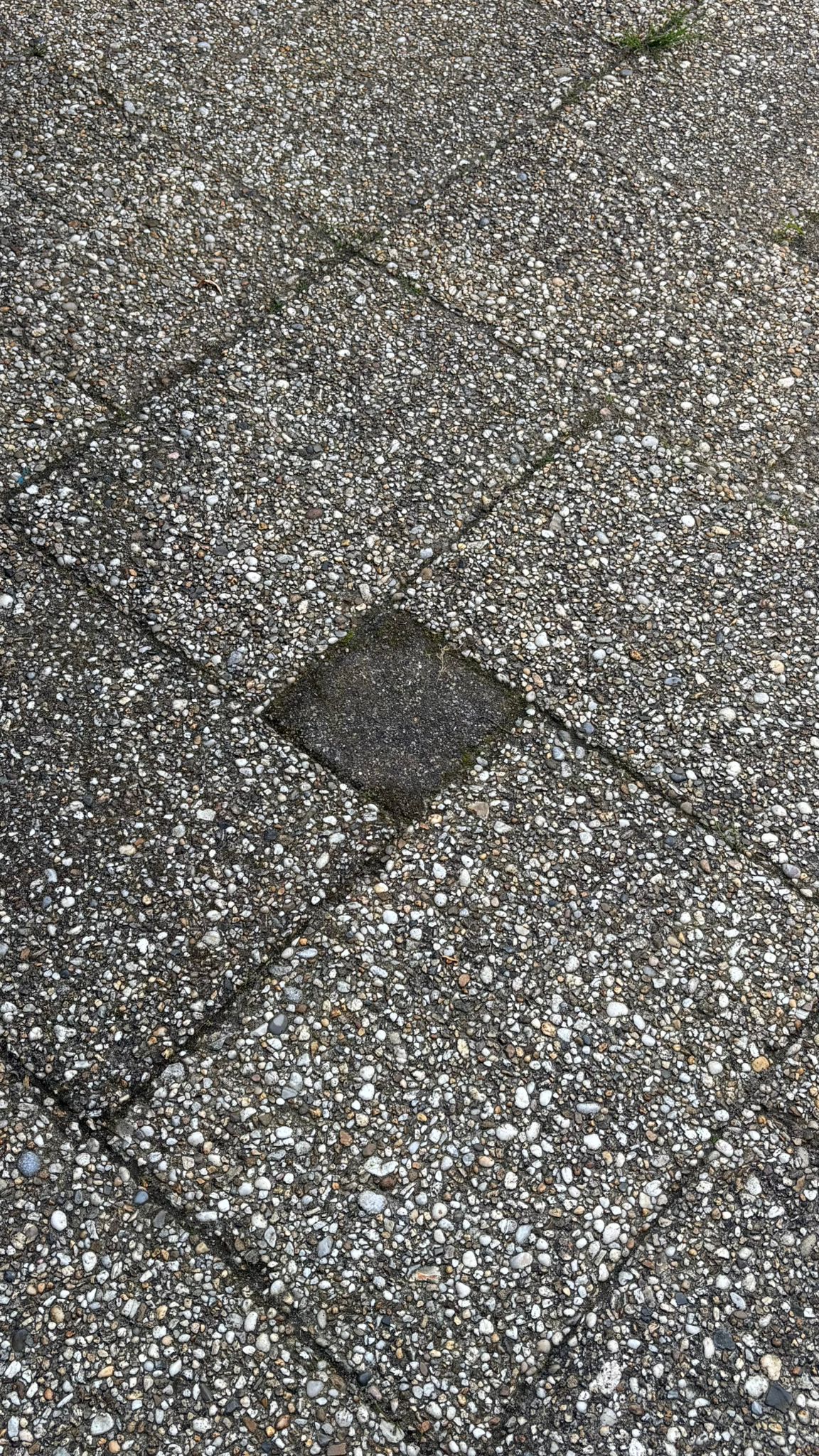 Voor reiniging grindtegels